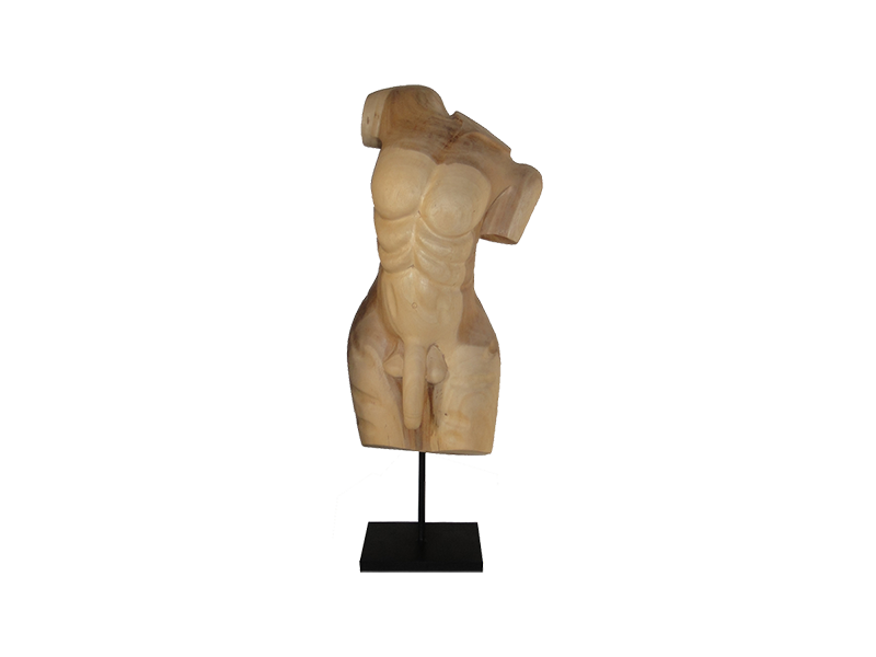 MAN TORSO 